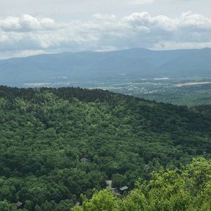 Meet your Posher, Tracey